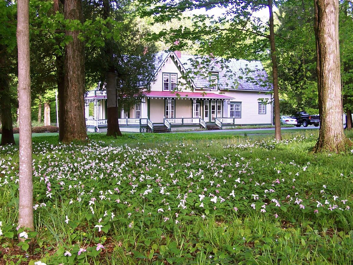 Dreamhouse Country Inn Bristol ภายนอก รูปภาพ